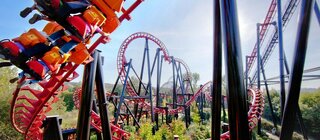 Buitenhof Reizen voor mensen met een verstandelijke beperking - Adrenaline in Belgie - Walibi