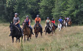 Buitenhof Reizen voor mensen met een verstandelijke beperking- Paardrijden in Zuid-Frankrijk - rijden Buitenhof Reizen voor mensen met een verstandelijke beperking- Paardrijden in Zuid-Frankrijk - rijden