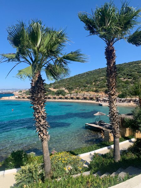 Buitenhof Reizen voor mensen met een verstandelijke beperking - Ondernemend - Veelzijdig Bodrum - bomen met helderblauwe zee Buitenhof Reizen voor mensen met een verstandelijke beperking - Ondernemend - Veelzijdig Bodrum - bomen met helderblauwe zee