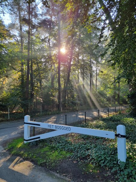 Buitenhof Reizen voor mensen met een verstandelijke beperking-prachtige veluwe-buiten Buitenhof Reizen voor mensen met een verstandelijke beperking-prachtige veluwe-buiten