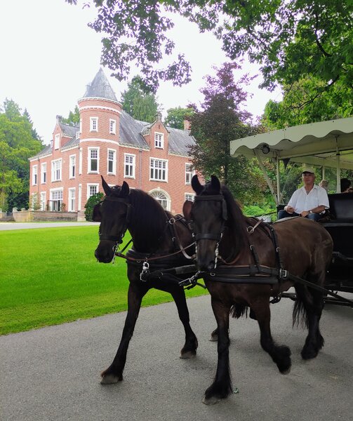 Buitenhof Reizen voor mensen met een verstandelijke beperking - zorg - Landgoed Parc Spelderholt - paard en wagen op landgoed Buitenhof Reizen voor mensen met een verstandelijke beperking - zorg - Landgoed Parc Spelderholt - paard en wagen op landgoed