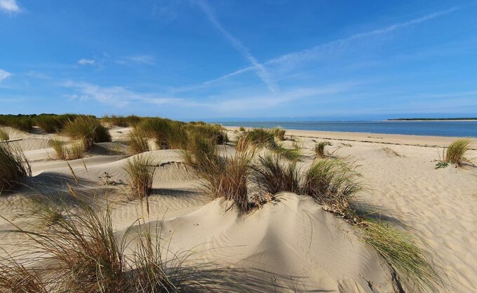 Eilandleven op Ile d'Oleron