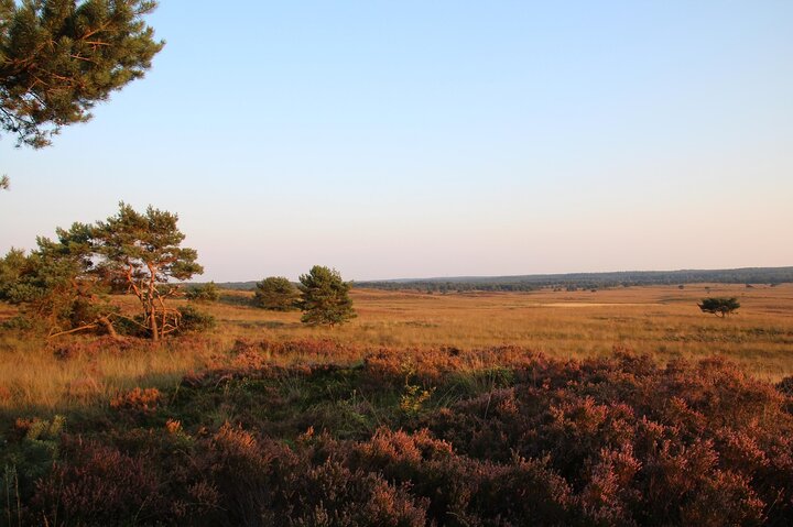 Buitenhof Reizen voor mensen met een verstandelijke beperking - Rustig Aan - Rondje Veluwe - natuur Buitenhof Reizen voor mensen met een verstandelijke beperking - Rustig Aan - Rondje Veluwe - natuur