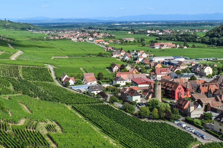 Buitenhof Reizen - Elzas - begeleide vakanties voor mensen met een beperking - Mooie velden met huisjes Buitenhof Reizen - Elzas - begeleide vakanties voor mensen met een beperking - Mooie velden met huisjes