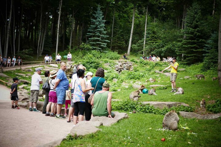 Elzas - Apenberg - Buitenhof Reizen begeleide vakanties voor mensen met een verstandelijke beperking Elzas - Apenberg - Buitenhof Reizen begeleide vakanties voor mensen met een verstandelijke beperking