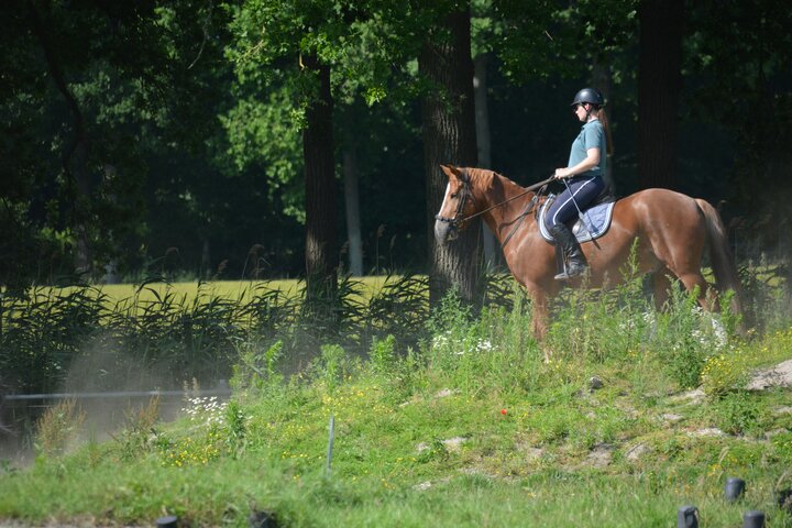 Buitenhof Reizen voor mensen met een verstandelijke beperking - Woudenberg - Bosrit  