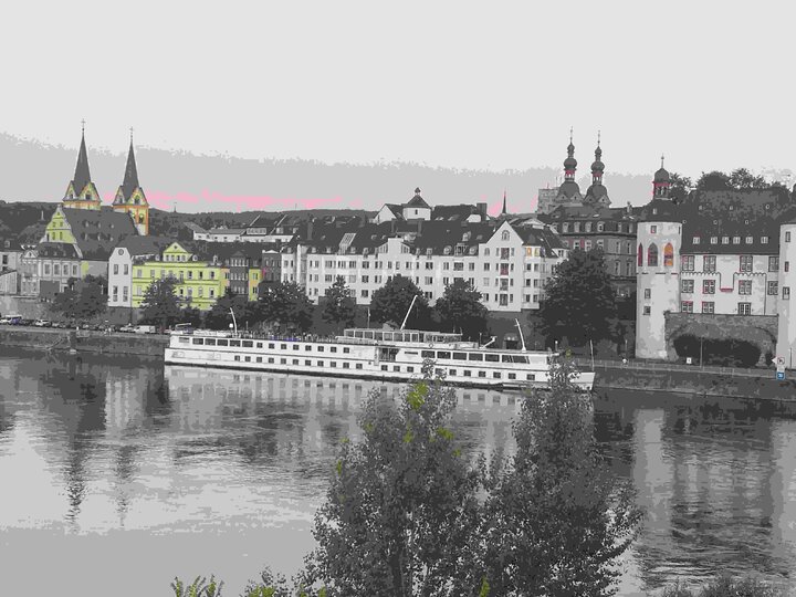 Buitenhof Reizen - Ondernemend - Riviercruise MS Horizon Romantische Rijn-begeleide groepsreizen voor mensen met een verstandelijke beperking-skyline van stad aan het water