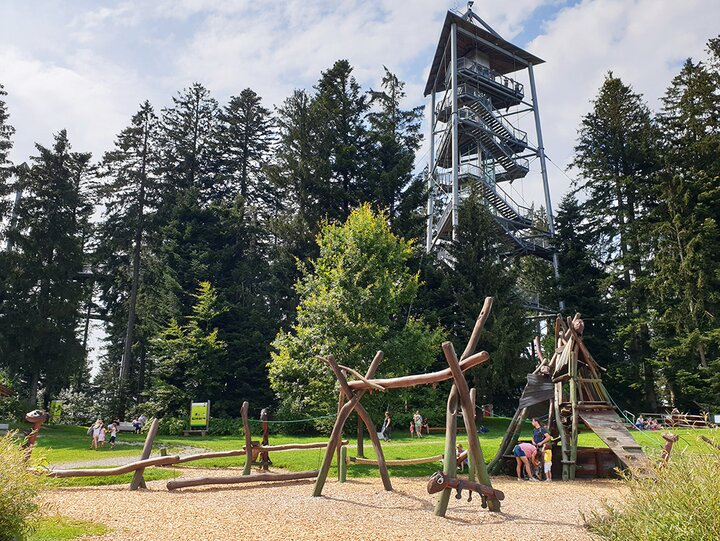 Buitenhof Reizen voor mensen met een verstandelijke beperking - Allgau - Boomkroonpad