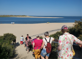 Buitenhof Reizen voor mensen met een verstandelijke beperking - Jongeren - Zomers Zeeland - reizigers lopend naar het strand Buitenhof Reizen voor mensen met een verstandelijke beperking - Jongeren - Zomers Zeeland - reizigers lopend naar het strand