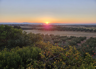 Buitenhof Reizen voor mensen met een verstandelijke beperking - zorg - Grieks Macedonie - zonsondergang Buitenhof Reizen voor mensen met een verstandelijke beperking - zorg - Grieks Macedonie - zonsondergang