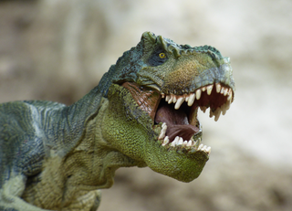 Buitenhof Reizen voor mensen met een verstandelijke beperking - Ondernemend 't Loo - Oldebroek - Dinosaurus Buitenhof Reizen voor mensen met een verstandelijke beperking - Ondernemend 't Loo - Oldebroek - Dinosaurus