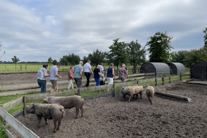 Buitenhof Reizen - de Moer - begeleide vakanties voor mensen met een beperking - Reizigers bij varkens Buitenhof Reizen - de Moer - begeleide vakanties voor mensen met een beperking - Reizigers bij varkens