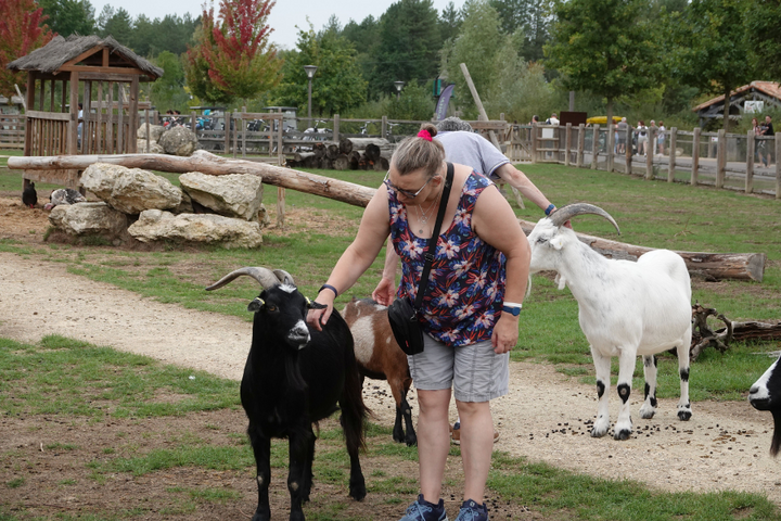 Buitenhof Reizen - La Vienne - begeleide vakanties voor mensen met een beperking - Reiziger met bokken Buitenhof Reizen - La Vienne - begeleide vakanties voor mensen met een beperking - Reiziger met bokken