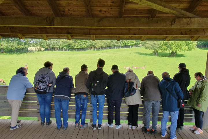 Buitenhof Reizen - Winterberg - begeleide vakanties voor mensen met een beperking - Reizigers kijken naar herten Buitenhof Reizen - Winterberg - begeleide vakanties voor mensen met een beperking - Reizigers kijken naar herten