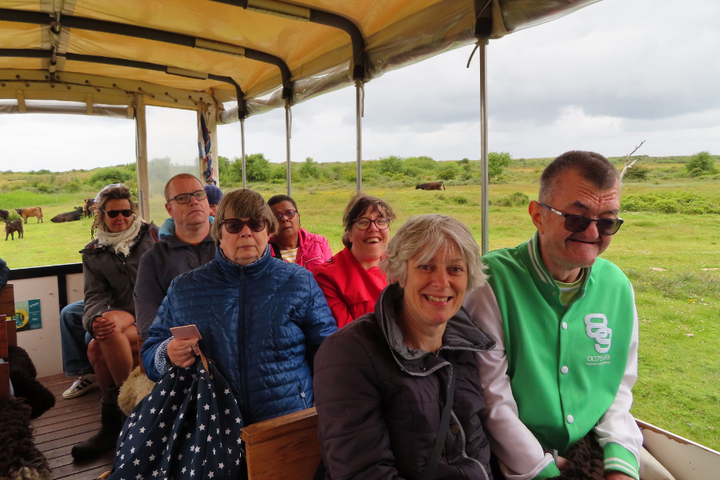 Buitenhof Reizen - Texel - begeleide vakanties voor mensen met een beperking - met de huifkar Buitenhof Reizen - Texel - begeleide vakanties voor mensen met een beperking - met de huifkar
