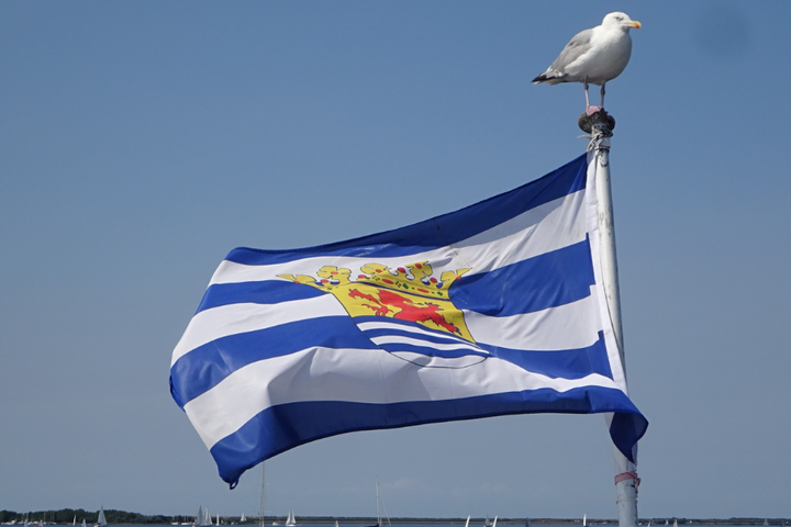 Buitenhof Reizen - Zomers Zeeland - begeleide vakanties voor mensen met een beperking - Zeeuwse vlag Buitenhof Reizen - Zomers Zeeland - begeleide vakanties voor mensen met een beperking - Zeeuwse vlag