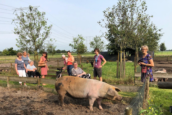 Buitenhof Reizen voor mensen met een verstandelijke beperking - Zorg - de Moer - reizigers op de boerderij met varkens Buitenhof Reizen voor mensen met een verstandelijke beperking - Zorg - de Moer - reizigers op de boerderij met varkens