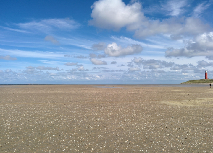 Buitenhof Reizen voor mensen met een verstandelijke beperking - Jongeren - Wadlopen op Texel - Strand met vuurtoren Buitenhof Reizen voor mensen met een verstandelijke beperking - Jongeren - Wadlopen op Texel - Strand met vuurtoren