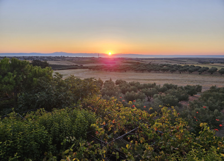 Buitenhof Reizen voor mensen met een verstandelijke beperking - zorg - Grieks Macedonie - zonsondergang Buitenhof Reizen voor mensen met een verstandelijke beperking - zorg - Grieks Macedonie - zonsondergang