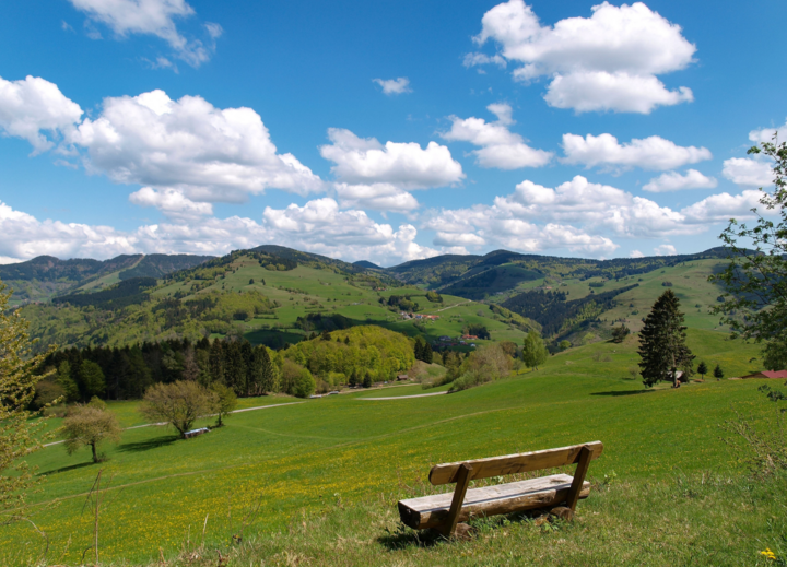 Buitenhof Reizen voor mensen met een verstandelijke beperking - Rustig Aan - Ontdek Bad Peterstal - natuur Buitenhof Reizen voor mensen met een verstandelijke beperking - Rustig Aan - Ontdek Bad Peterstal - natuur