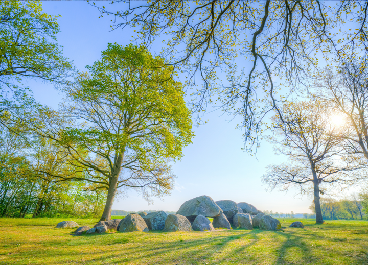 Buitenhof Reizen voor mensen met een verstandelijke beperking - Ondernemend - Waanzinnig Wateren - Hunnebed Buitenhof Reizen voor mensen met een verstandelijke beperking - Ondernemend - Waanzinnig Wateren - Hunnebed