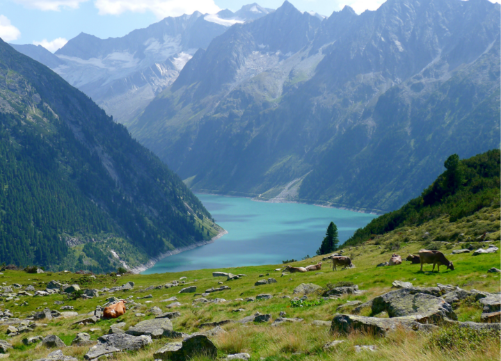 Buitenhof Reizen voor mensen met een verstandelijke beperking - Ondernemend - Bloeiend Zillertal en Achensee - meer