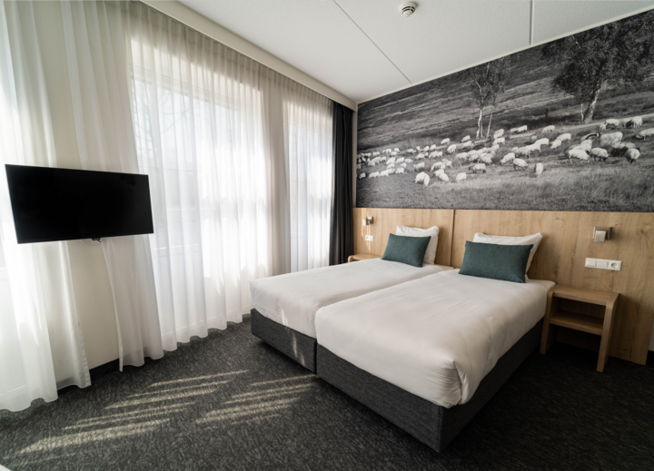 Buitenhof Reizen voor mensen met een verstandelijke beperking - de Bonte Wever - voorbeeld Hotelkamer Buitenhof Reizen voor mensen met een verstandelijke beperking - de Bonte Wever - voorbeeld Hotelkamer