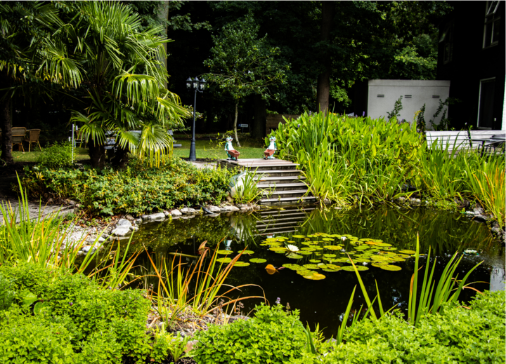 Buitenhof Reizen voor mensen met een verstandelijke beperking - hotel de elderschans - tuin Buitenhof Reizen voor mensen met een verstandelijke beperking - hotel de elderschans - tuin