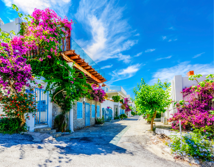 Buitenhof Reizen - Bodrum- begeleide groepsreizen voor mensen met een verstandelijke beperking- Straat Bodrum Buitenhof Reizen - Bodrum- begeleide groepsreizen voor mensen met een verstandelijke beperking- Straat Bodrum