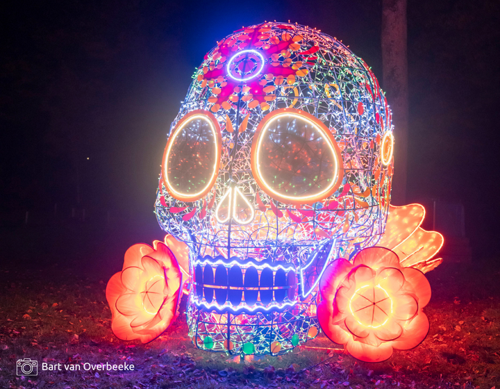 Buitenhof Reizen - Glow Eindhoven- begeleide groepsreizen voor mensen met een verstandelijke beperking - Lichtshow mexicaans kunstwerk