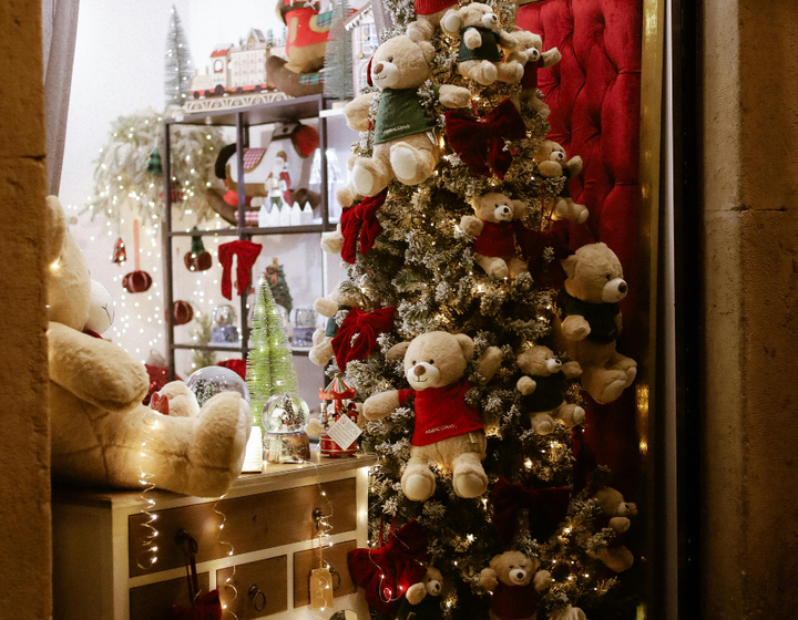 Buitenhof Reizen - De mooiste kerstshows van Intratuin - begeleide groepsreizen voor mensen met een verstandelijke beperking - kerstboom met Beren