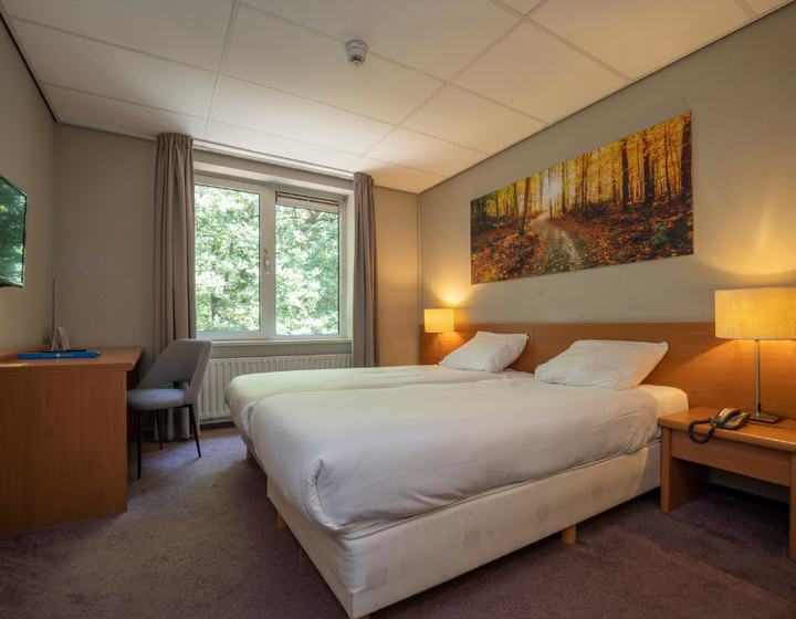 Buitenhof Reizen - Fletcher Hotel Boschoord - begeleide groepsreizen voor mensen met een verstandelijke beperking - slaapkamer